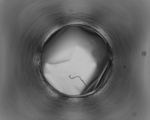 X0000090421377200708031056