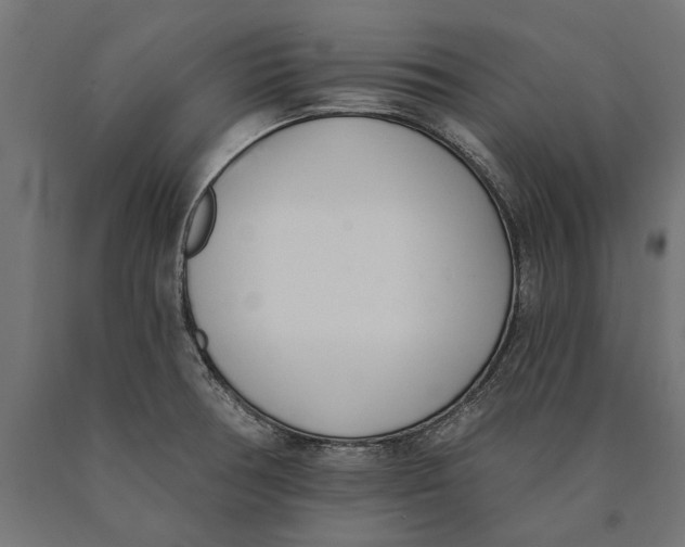 X0000090421378200708031056