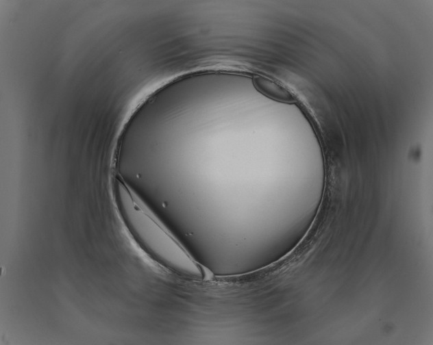 X0000090421379200708031056