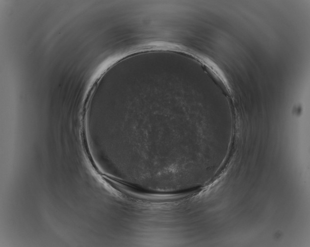 X0000090421381200708031056