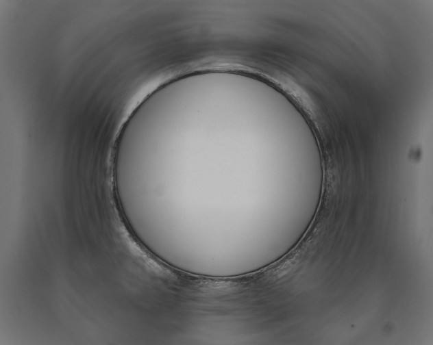 X0000090421382200708031056