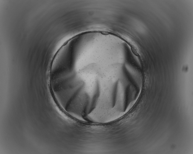 X0000090421383200708031056