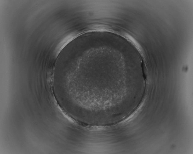 X0000090421385200708031056