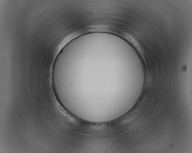 X0000090421386200708031056