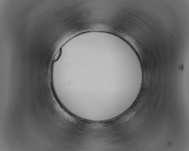 X0000090421387200708031056