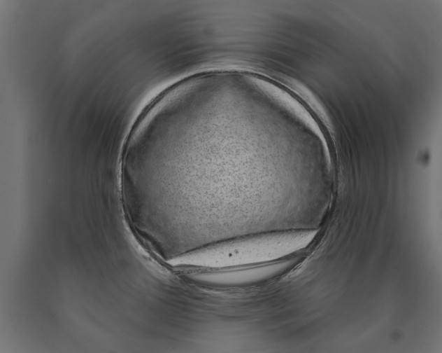 X0000090421388200708031055