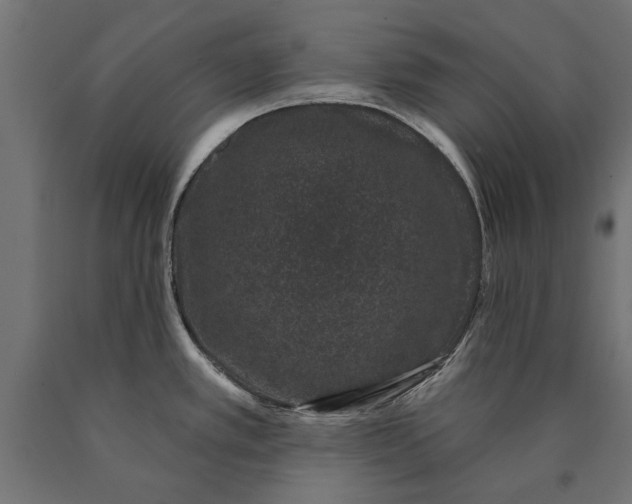 X0000090421389200708031055