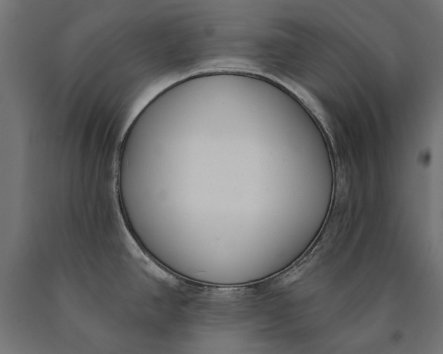 X0000090421390200708031055