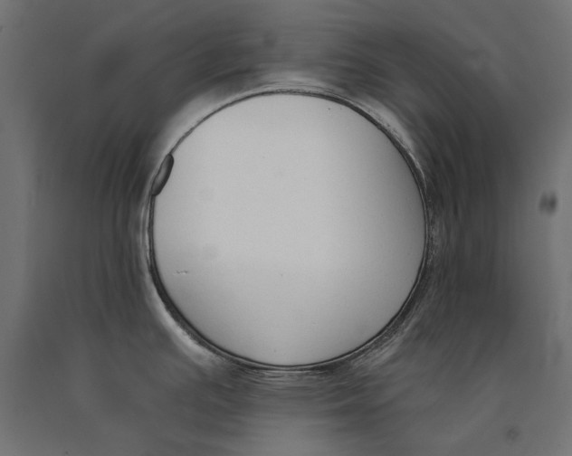 X0000090421391200708031055