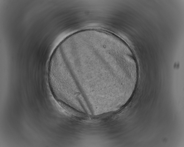 X0000090421392200708031055