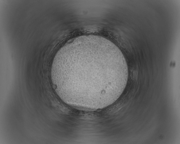 X0000090421393200708031055