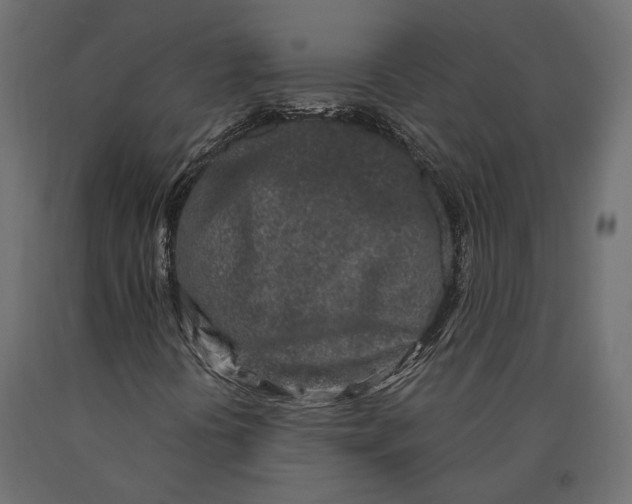 X0000090421394200708031055