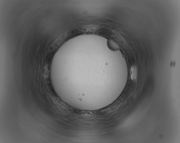 X0000090421395200708031055