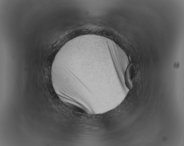 X0000090421397200708031055