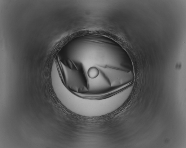 X0000090421398200708031055