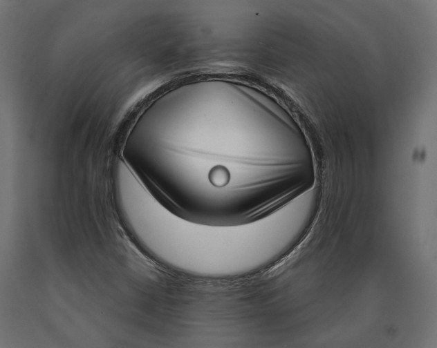 X0000090421402200708031055