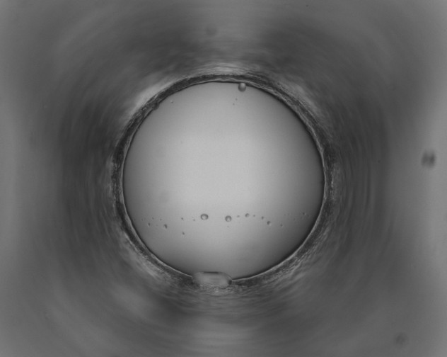 X0000090421404200708031055