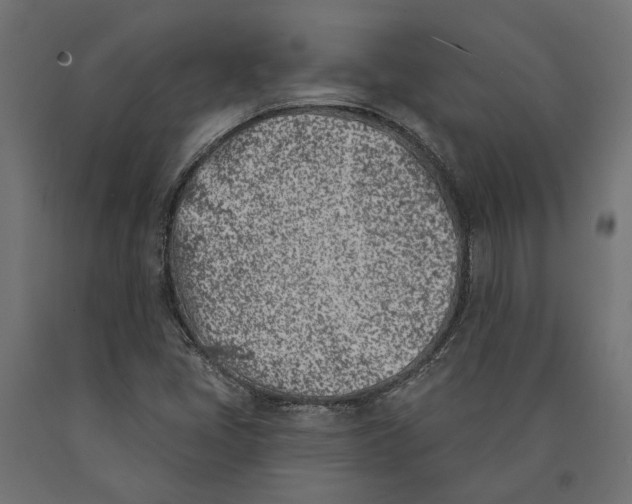 X0000090421405200708031055