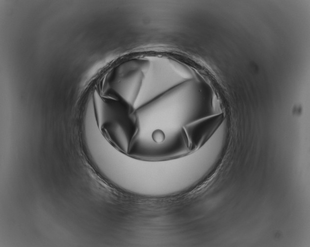 X0000090421406200708031055