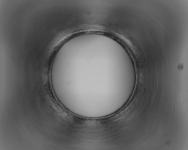 X0000090421407200708031055