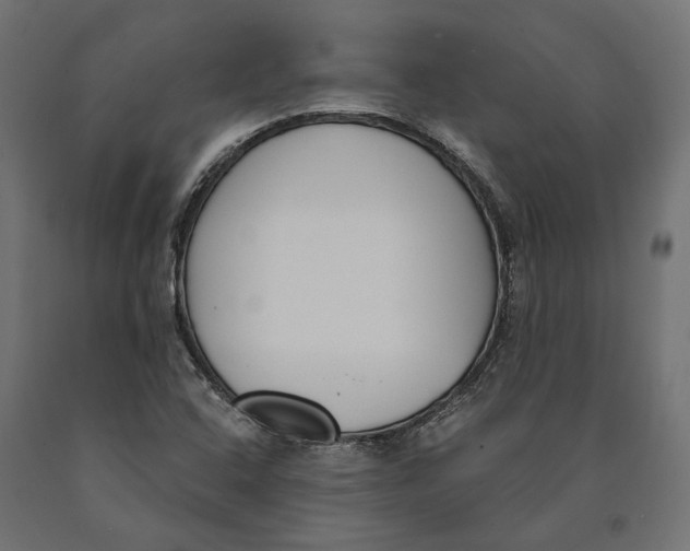 X0000090421408200708031055