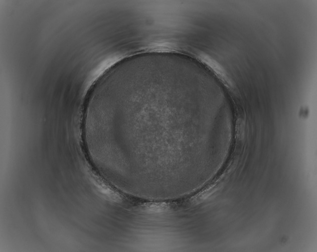 X0000090421410200708031055