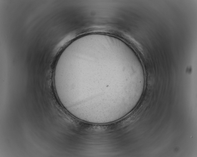 X0000090421411200708031055