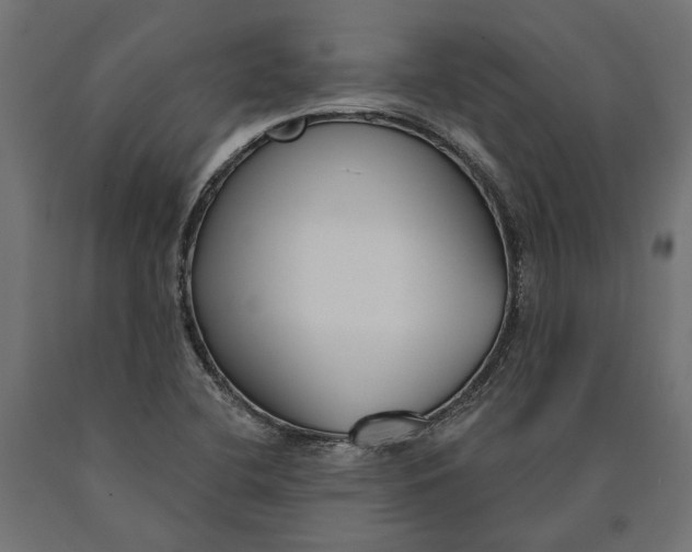 X0000090421412200708031055