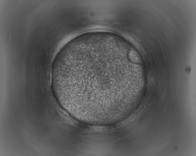 X0000090421413200708031055