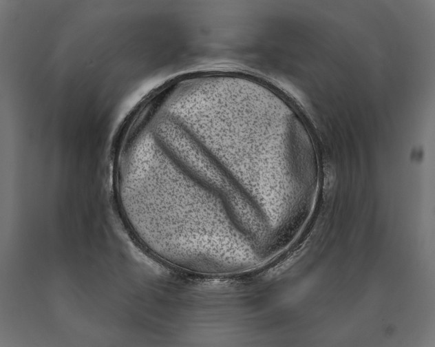 X0000090421414200708031055