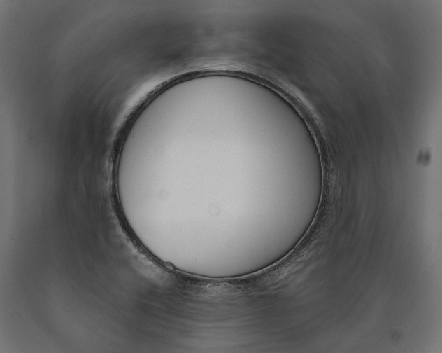 X0000090421416200708031055