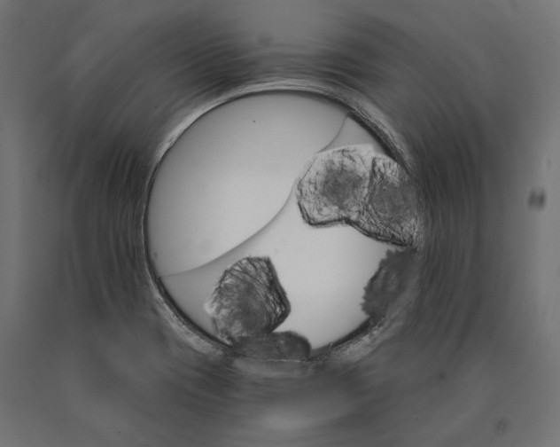 X0000090421417200708031055