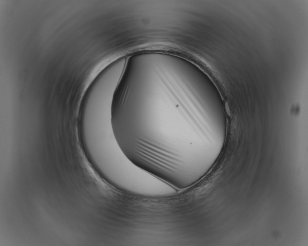 X0000090421418200708031055