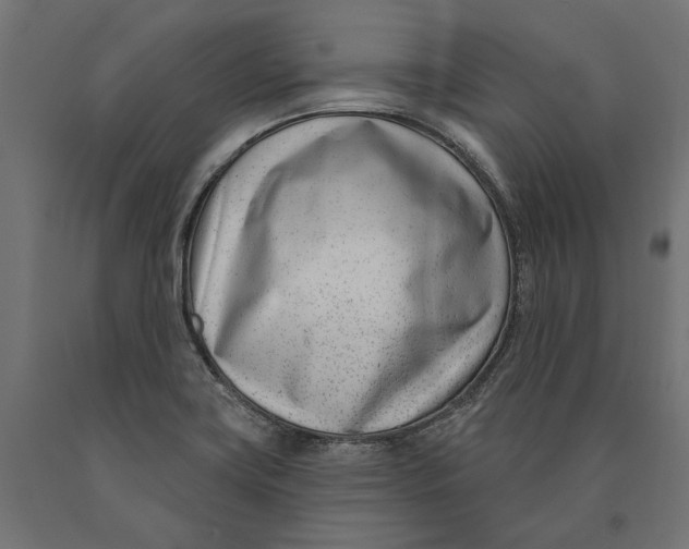 X0000090421419200708031055