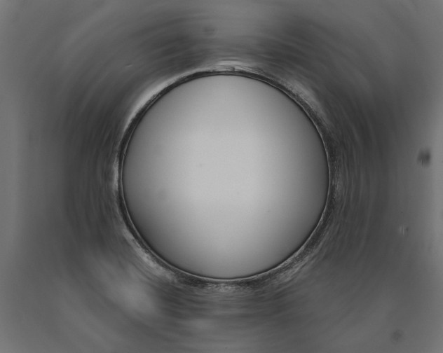 X0000090421420200708031055