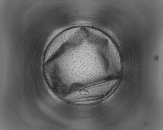 X0000090421421200708031055