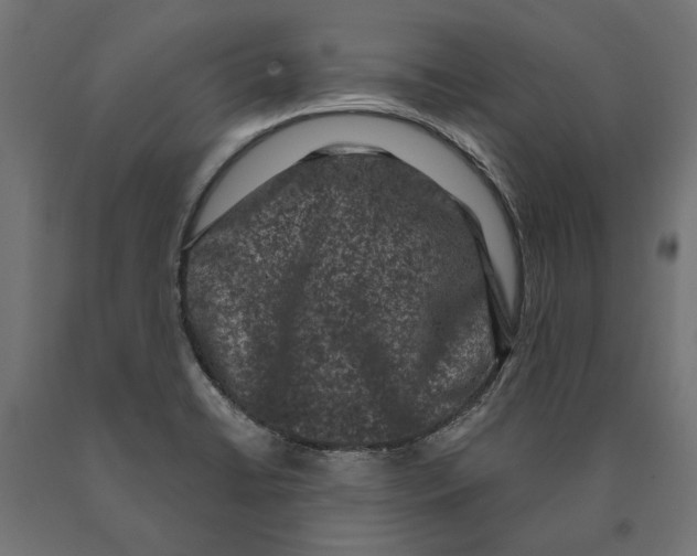 X0000090421422200708031055