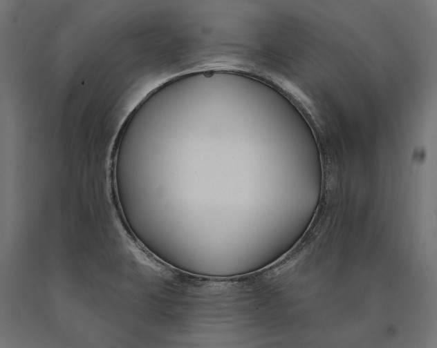 X0000090421423200708031055