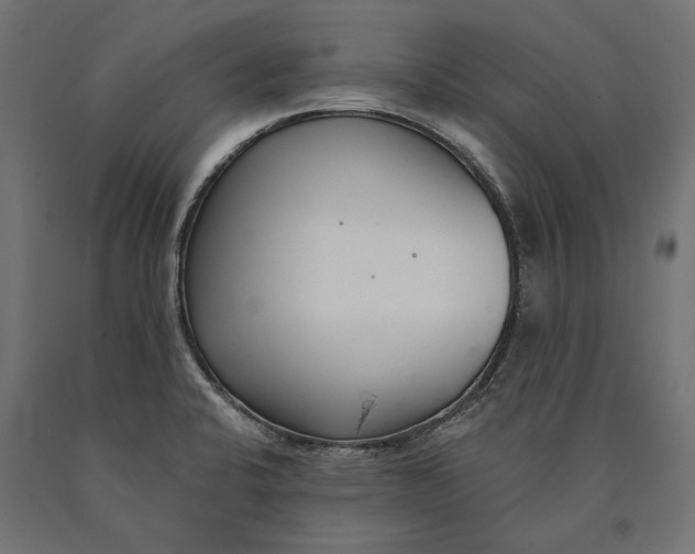 X0000090421424200708031055