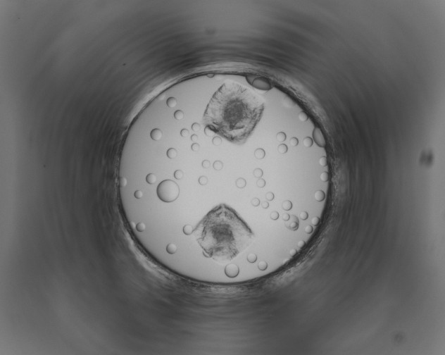 X0000090421425200708031055