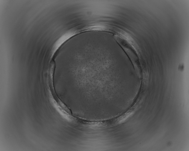 X0000090421426200708031055