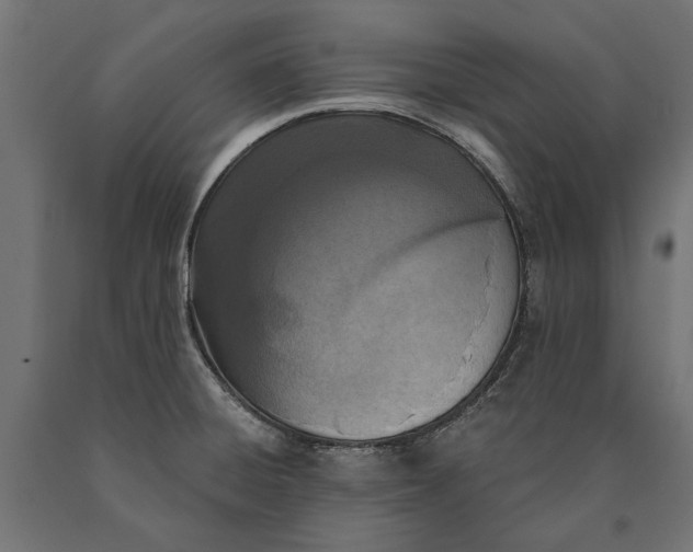 X0000090421428200708031055