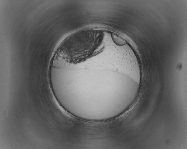 X0000090421429200708031055