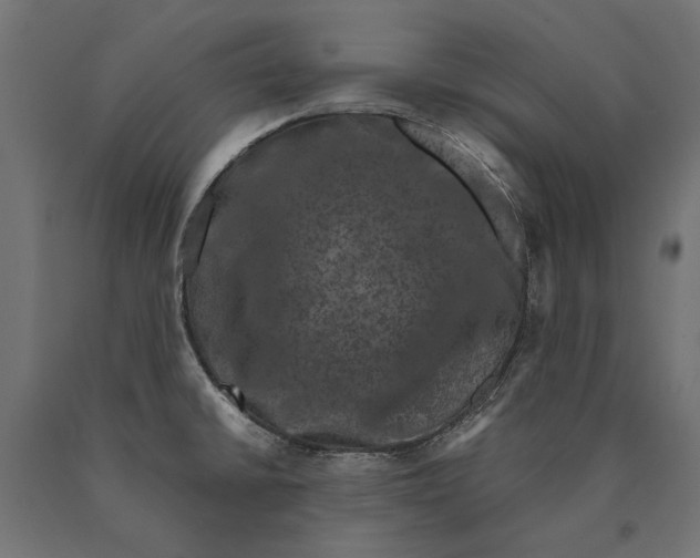 X0000090421430200708031055