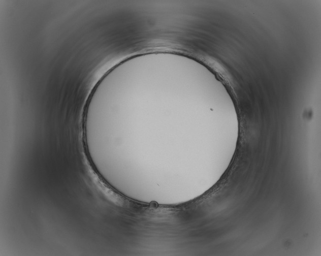 X0000090421431200708031055