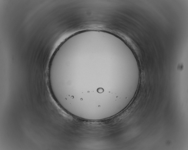 X0000090421432200708031055