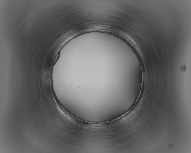 X0000090421433200708031055