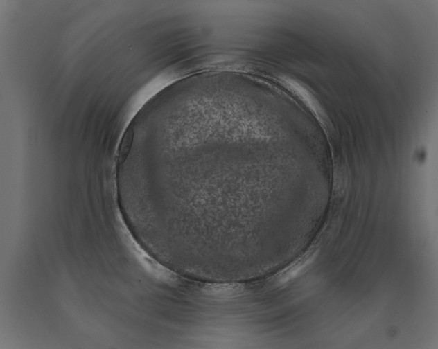 X0000090421434200708031055