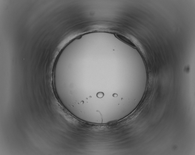 X0000090421435200708031055