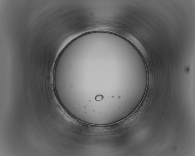 X0000090421436200708031055